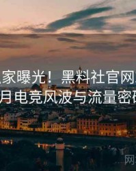 0313. 独家曝光！黑料社官网2025年10月电竞风波与流量密码