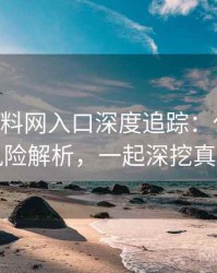 1360. 黑料网入口深度追踪：代言翻车风险解析，一起深挖真相