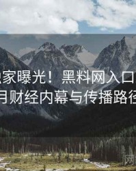 1204. 独家曝光！黑料网入口2025年9月财经内幕与传播路径