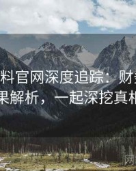 1117. 黑料官网深度追踪：财务造假后果解析，一起深挖真相