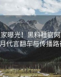 0248. 独家曝光！黑料社官网2021年11月代言翻车与传播路径
