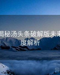 老用户揭秘汤头条破解版未来蓝图深度解析