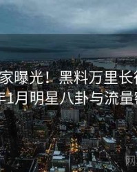 0232. 独家曝光！黑料万里长征首页2017年1月明星八卦与流量密码