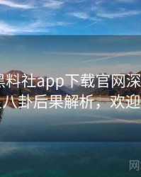0482. 黑料社app下载官网深度追踪：明星八卦后果解析，欢迎围观