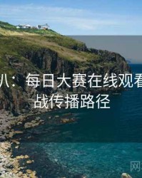 独家深扒：每日大赛在线观看粉丝大战传播路径