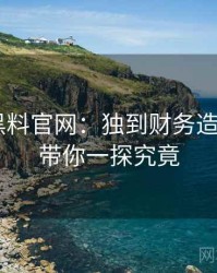 0853. 黑料官网：独到财务造假盘点，带你一探究竟