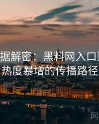 0065. 数据解密：黑料网入口财经内幕热度暴增的传播路径