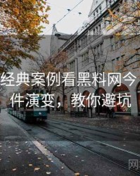 1029. 从经典案例看黑料网今日网红事件演变，教你避坑