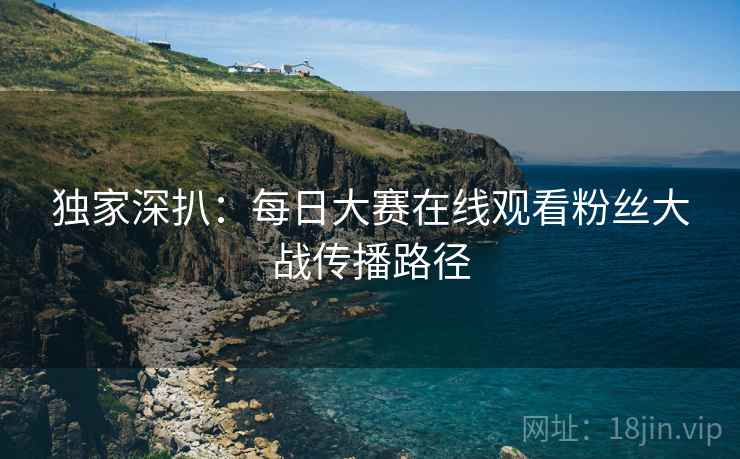 独家深扒：每日大赛在线观看粉丝大战传播路径